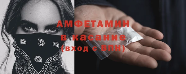 шишки Алексеевка