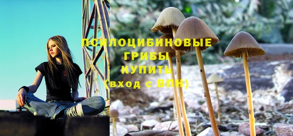меф Алзамай