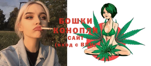 шишки Алексеевка