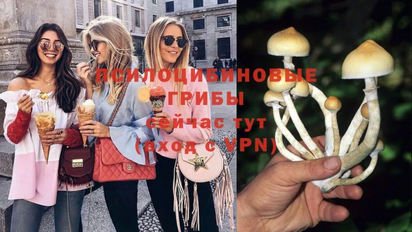 таблы Алексин