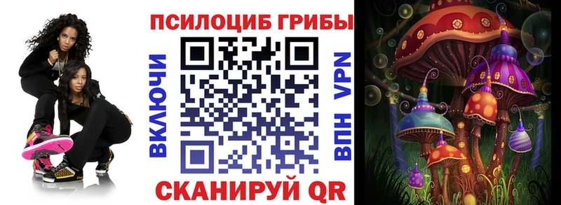 Псилоцибиновые грибы прущие грибы  Ермолино 